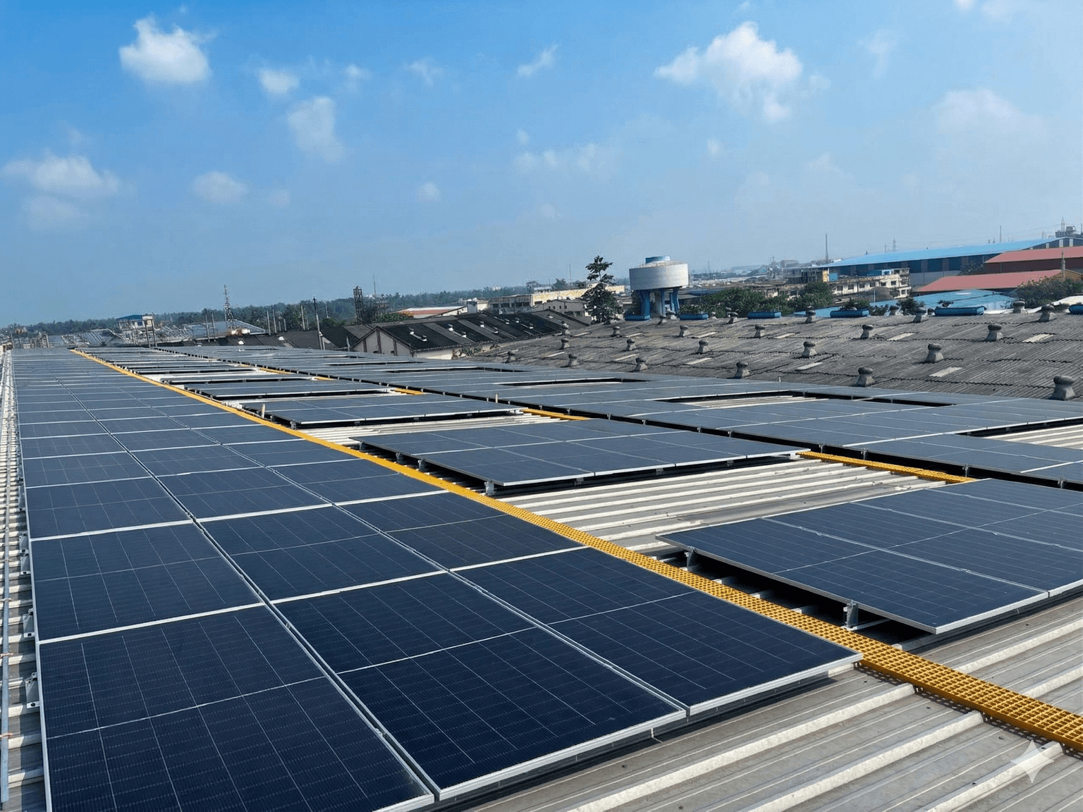 Council of Scientific and Industrial Research (CSIR – CRRI & IGIB)