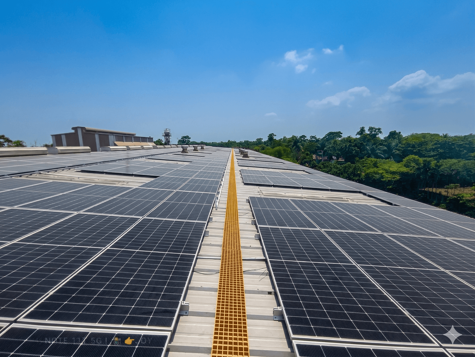 Council of Scientific and Industrial Research (CSIR – CRRI & IGIB)