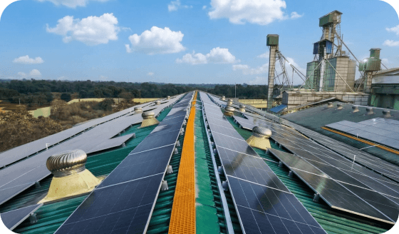 Rooftop Solar Solutions